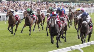 Vendor Apps assist users to make better informed decisions whilst betting